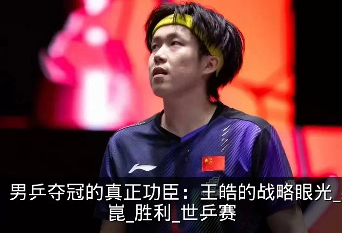 男乒夺冠的真正功臣:王皓的战略眼光_梁靖崑_胜利_世乒赛